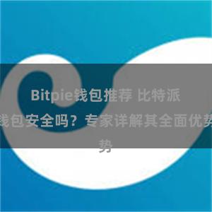 Bitpie钱包推荐 比特派钱包安全吗？专家详解其全面优势