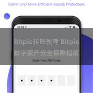 Bitpie转账教程 Bitpie数字资产安全保障指南