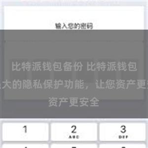 比特派钱包备份 比特派钱包：强大的隐私保护功能，让您资产更安全