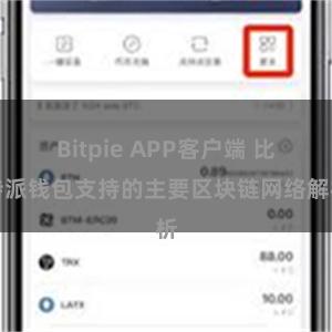 Bitpie APP客户端 比特派钱包支持的主要区块链网络解析