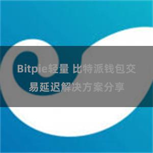Bitpie轻量 比特派钱包交易延迟解决方案分享