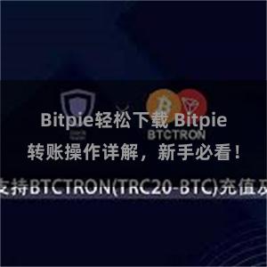 Bitpie轻松下载 Bitpie转账操作详解，新手必看！