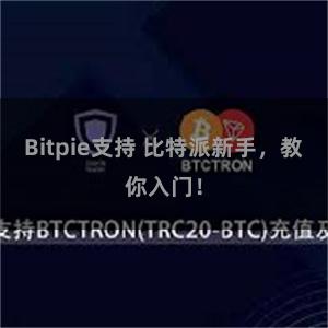 Bitpie支持 比特派新手，教你入门！