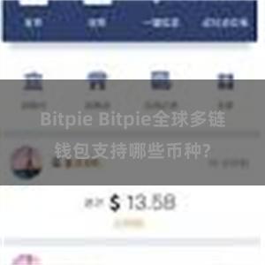 Bitpie Bitpie全球多链钱包支持哪些币种?
