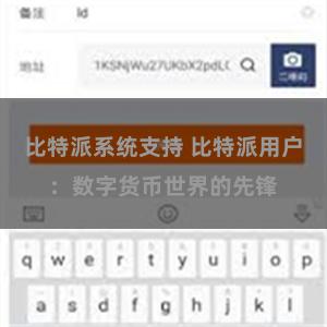 比特派系统支持 比特派用户：数字货币世界的先锋