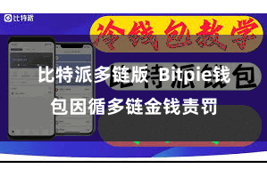 比特派多链版  Bitpie钱包因循多链金钱责罚