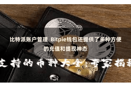 比特派账户管理  Bitpie钱包还提供了多种方便的充值和提现神态
