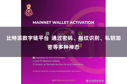 比特派数字链平台  通过密码、指纹识别、私钥加密等多种神态