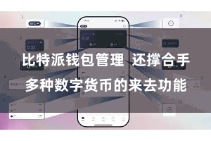 比特派钱包管理  还撑合手多种数字货币的来去功能