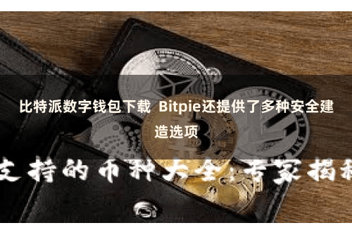 比特派数字钱包下载  Bitpie还提供了多种安全建造选项