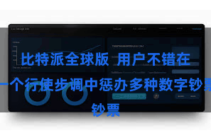 比特派全球版  用户不错在一个行使步调中惩办多种数字钞票
