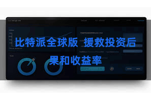 比特派全球版  援救投资后果和收益率