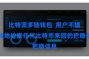 比特派多链钱包  用户不错便捷地检察任何比特币来回的把稳信息