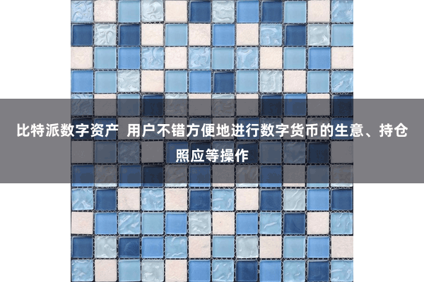 比特派数字资产  用户不错方便地进行数字货币的生意、持仓照应等操作